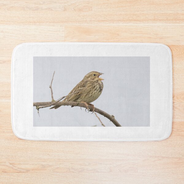 Item preview, Corn Bunting designed and sold by LaurenTucker.