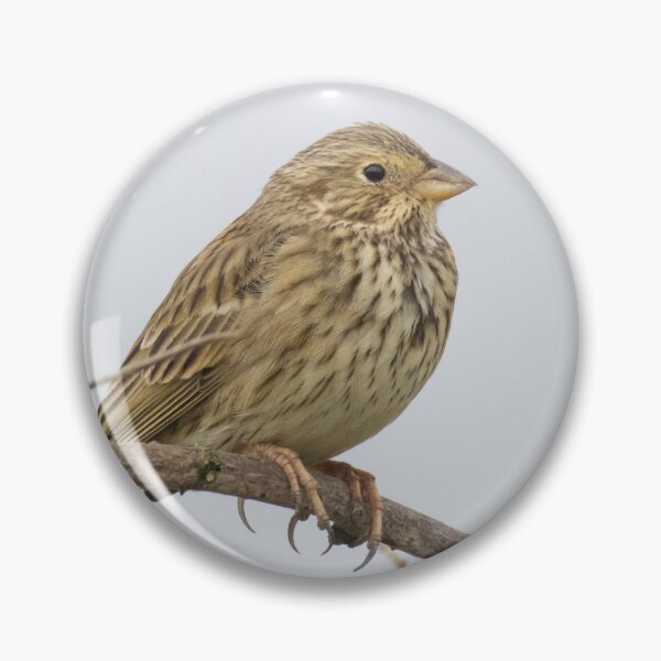 Item preview, Corn Bunting designed and sold by LaurenTucker.