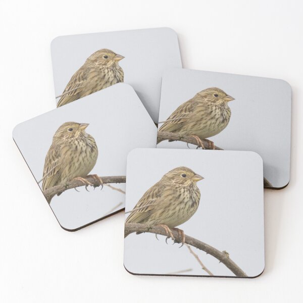 Item preview, Corn Bunting designed and sold by LaurenTucker.