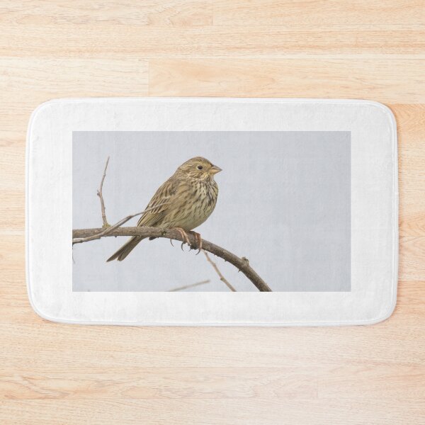 Item preview, Corn Bunting designed and sold by LaurenTucker.