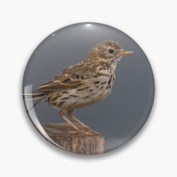 Item preview, Meadow Pipit designed and sold by LaurenTucker.