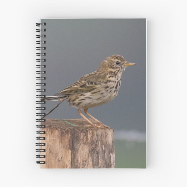 Item preview, Meadow Pipit designed and sold by LaurenTucker.