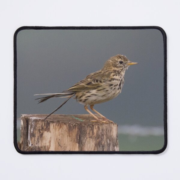 Item preview, Meadow Pipit designed and sold by LaurenTucker.