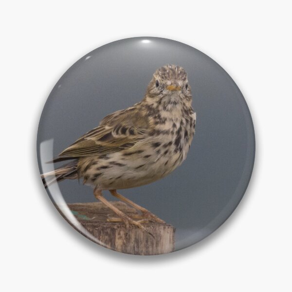 Item preview, Meadow Pipit designed and sold by LaurenTucker.