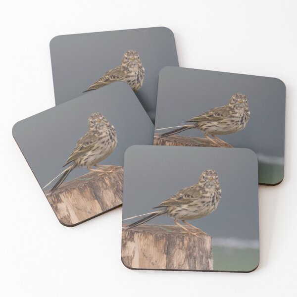 Item preview, Meadow Pipit designed and sold by LaurenTucker.