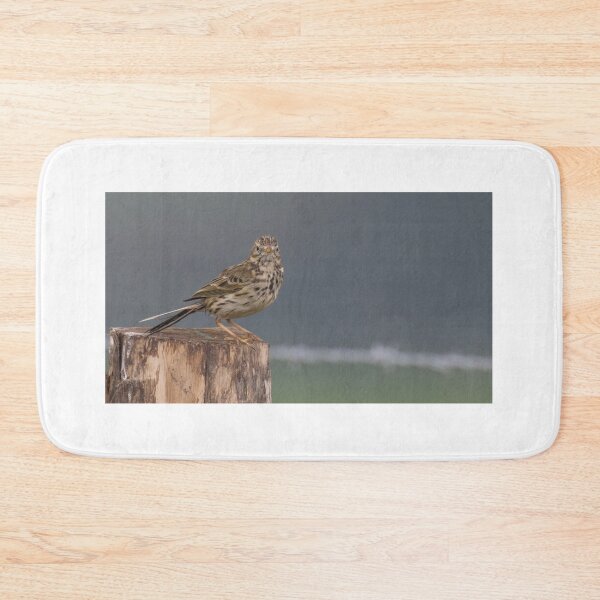 Item preview, Meadow Pipit designed and sold by LaurenTucker.