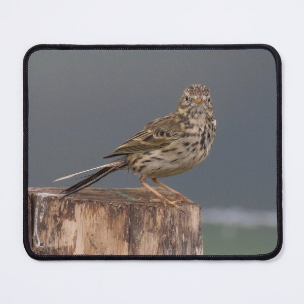 Item preview, Meadow Pipit designed and sold by LaurenTucker.