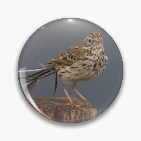 Item preview, Meadow Pipit designed and sold by LaurenTucker.