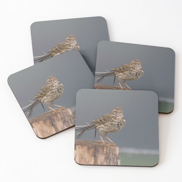 Item preview, Meadow Pipit designed and sold by LaurenTucker.