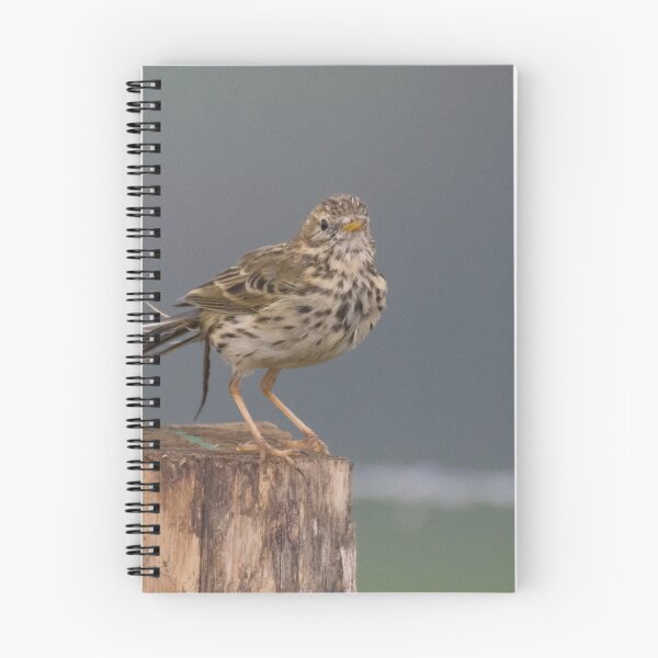 Item preview, Meadow Pipit designed and sold by LaurenTucker.