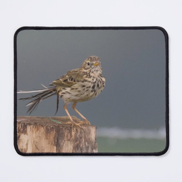 Item preview, Meadow Pipit designed and sold by LaurenTucker.
