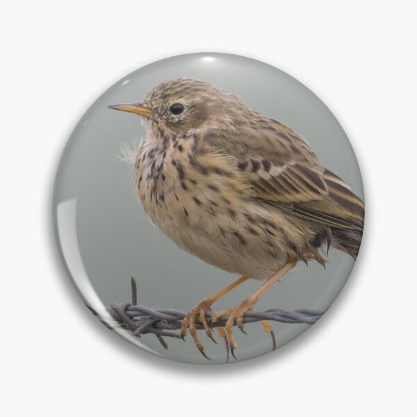 Item preview, Meadow Pipit - Anthus pratensis designed and sold by LaurenTucker.
