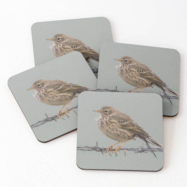 Item preview, Meadow Pipit - Anthus pratensis designed and sold by LaurenTucker.