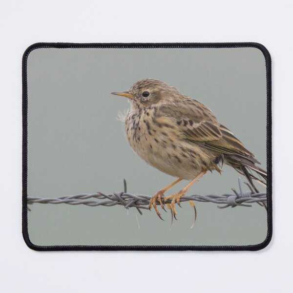 Item preview, Meadow Pipit - Anthus pratensis designed and sold by LaurenTucker.