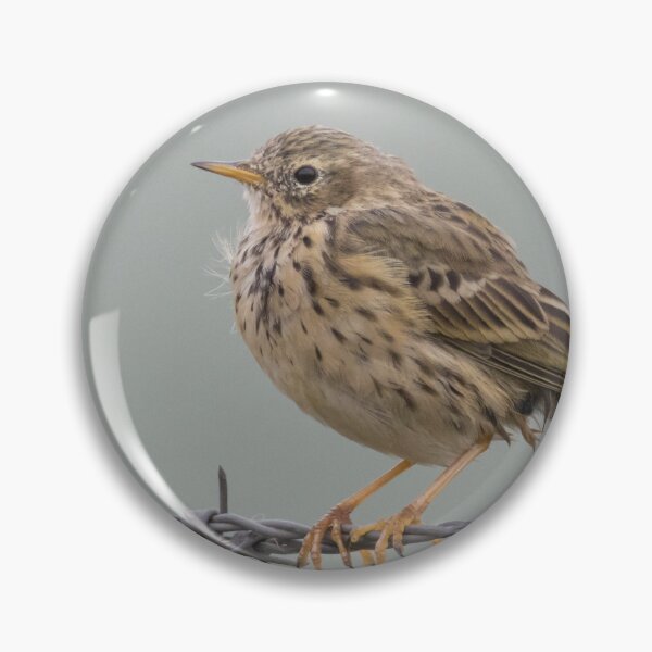 Item preview, Meadow Pipit designed and sold by LaurenTucker.