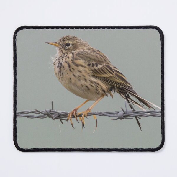 Item preview, Meadow Pipit designed and sold by LaurenTucker.