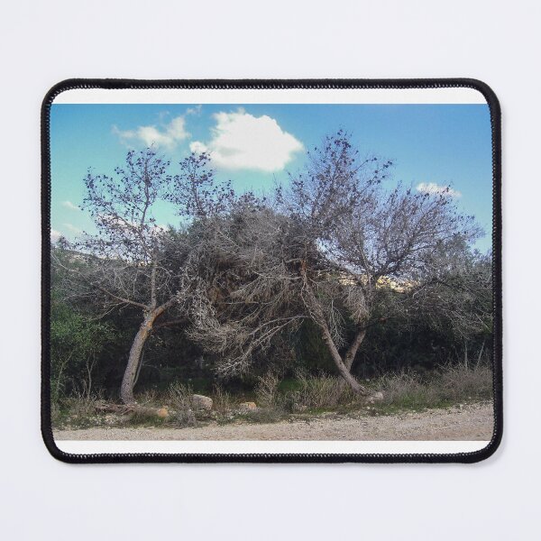 Item preview, Dry Bare Trees With Tangled Branches In Winter Countryside Landscape Under Blue Sky designed and sold by Nmallia.