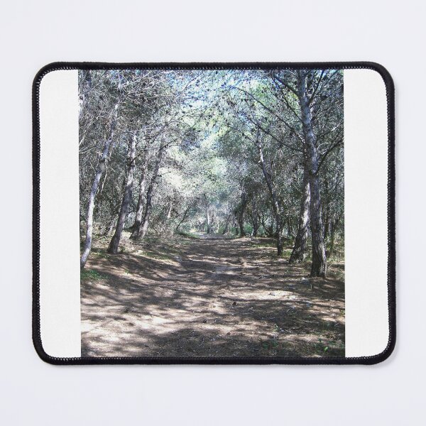 Item preview, Sunlit Forest Path Through Pine Trees Along a Quiet Woodland Trail With Dappled Shadows designed and sold by Nmallia.