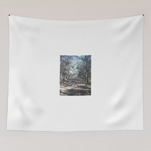 Item preview, Sunlit Forest Path Through Pine Trees Along a Quiet Woodland Trail With Dappled Shadows designed and sold by Nmallia.
