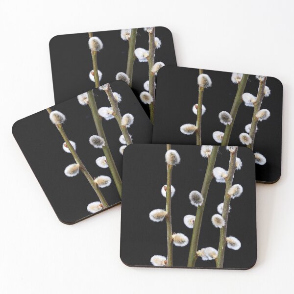 Item preview, willow branches with fluffy buds designed and sold by IgorKovalenko.