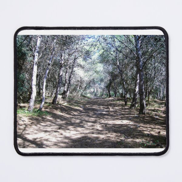 Item preview, Sunlit Forest Path Through Pine Trees Along a Quiet Woodland Trail With Dappled Shadows designed and sold by Nmallia.