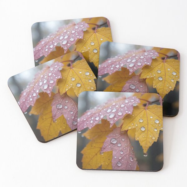 Item preview, Fall Maple Leaves in the Rain designed and sold by Tridentulus.