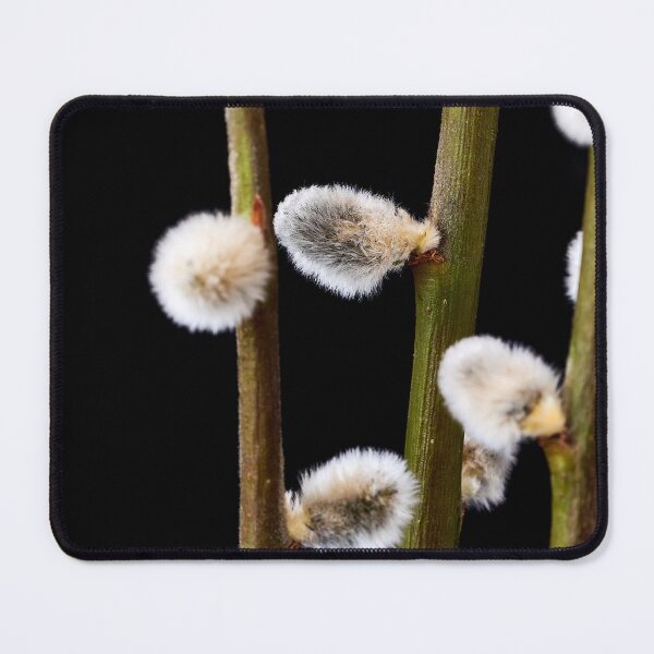 Item preview, willow branches with fluffy buds designed and sold by IgorKovalenko.