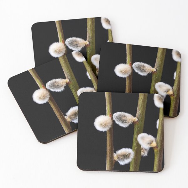 Item preview, willow branches with fluffy buds designed and sold by IgorKovalenko.