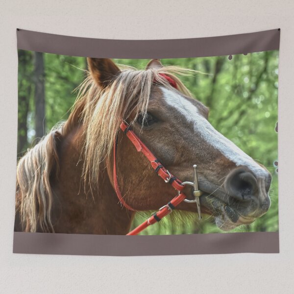 Item preview, Horse Close Up designed and sold by StylishDecor.