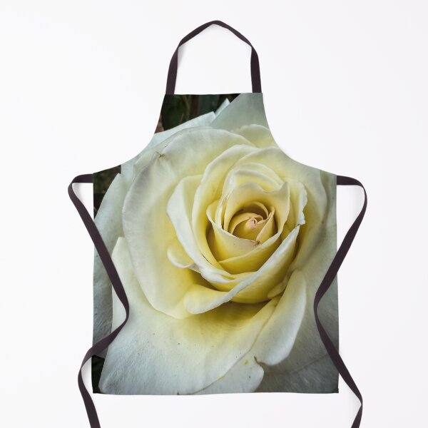 Item preview, Flowering Now: Rosa ‘John F. Kennedy’ designed and sold by Douglas E. Welch Design and Photography.