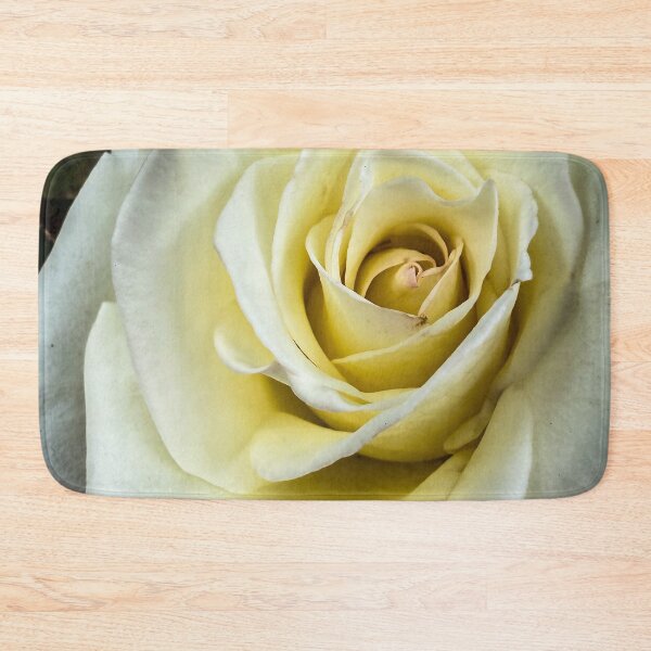 Item preview, Flowering Now: Rosa ‘John F. Kennedy’ designed and sold by Douglas E. Welch Design and Photography.