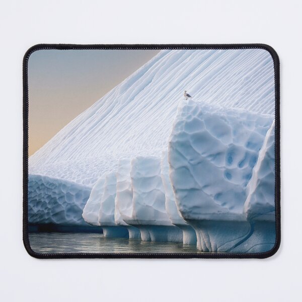 Item preview, Glaucous Gull on an Iceberg designed and sold by PhotoArt by Joan Carroll.