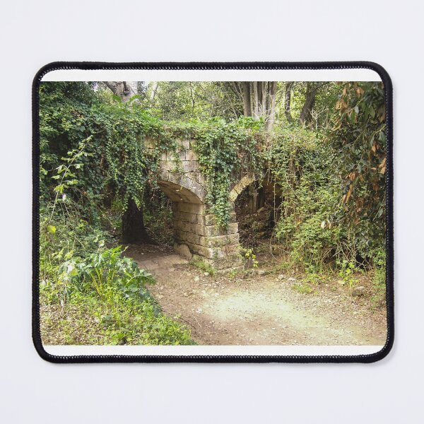 Item preview, Overgrown Stone Arch Ruins in a Forest Path Covered With Ivy and Moss designed and sold by Nmallia.
