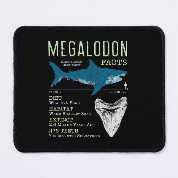 Item preview, Megalodon Facts  designed and sold by Ching Tibun.