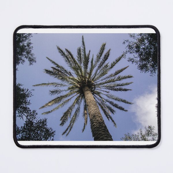 Item preview, Looking Up At A Tall Palm Tree With Radiating Fronds Against A Blue Sky designed and sold by Nmallia.