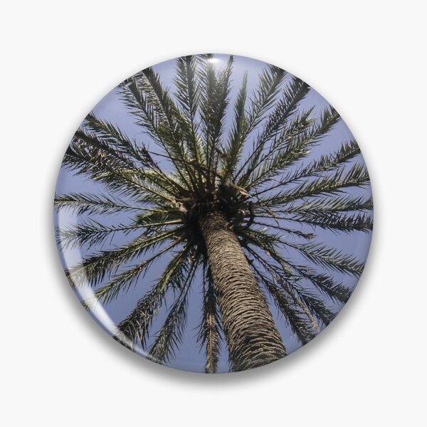 Item preview, Looking Up At A Tall Palm Tree With Radiating Fronds Against A Blue Sky designed and sold by Nmallia.