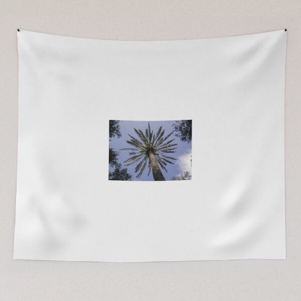 Item preview, Looking Up At A Tall Palm Tree With Radiating Fronds Against A Blue Sky designed and sold by Nmallia.