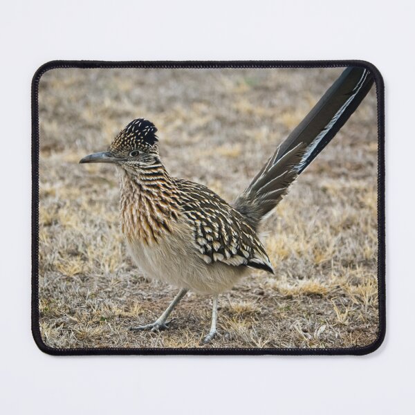 Item preview, Roadrunner designed and sold by djbustos.