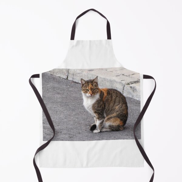 Item preview, Calico Tabby Cat Sitting on Urban Pavement Near Curb Looking at Camera designed and sold by Nmallia.