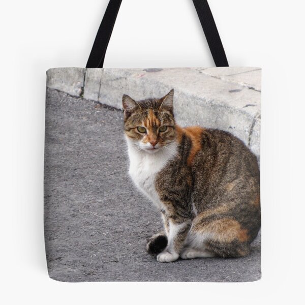 Item preview, Calico Tabby Cat Sitting on Urban Pavement Near Curb Looking at Camera designed and sold by Nmallia.