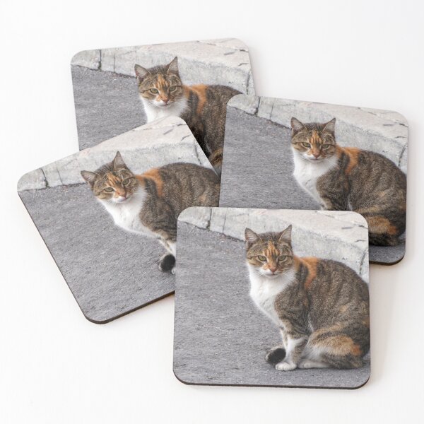 Item preview, Calico Tabby Cat Sitting on Urban Pavement Near Curb Looking at Camera designed and sold by Nmallia.