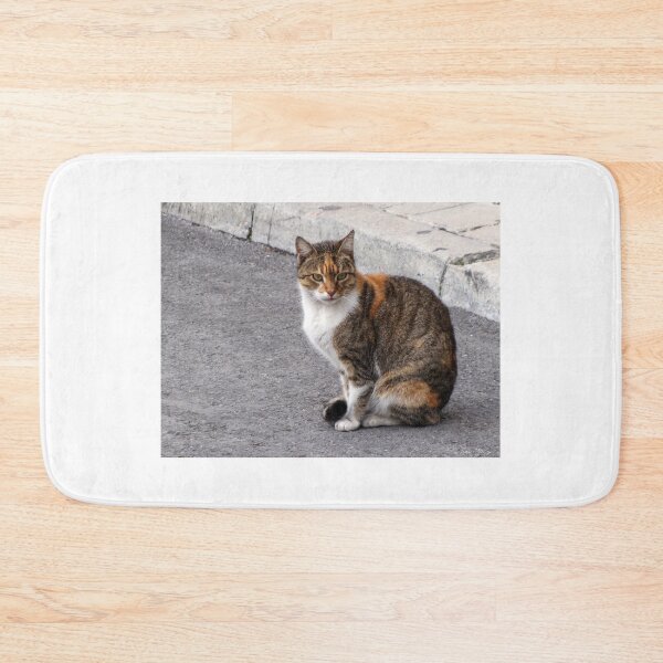 Item preview, Calico Tabby Cat Sitting on Urban Pavement Near Curb Looking at Camera designed and sold by Nmallia.