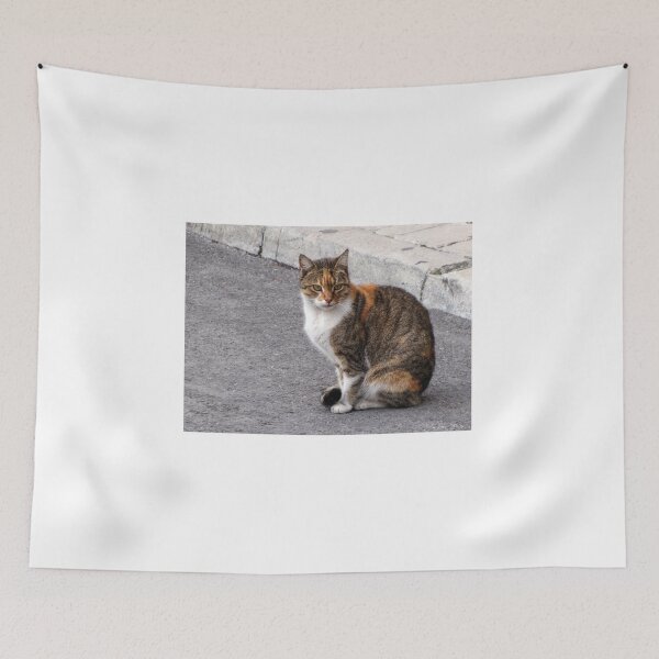 Item preview, Calico Tabby Cat Sitting on Urban Pavement Near Curb Looking at Camera designed and sold by Nmallia.