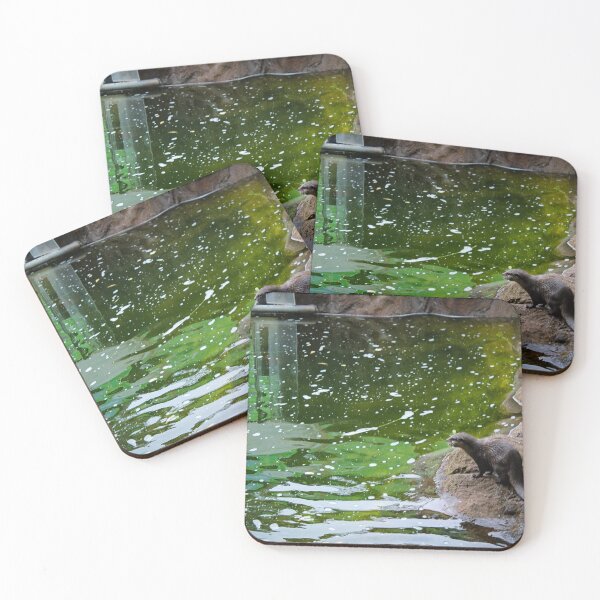 Item preview, Otto designed and sold by Belles-Photos.