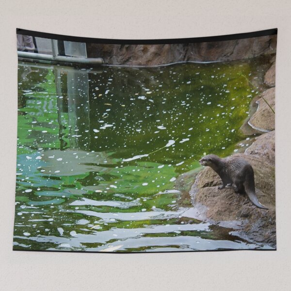 Item preview, Otto designed and sold by Belles-Photos.