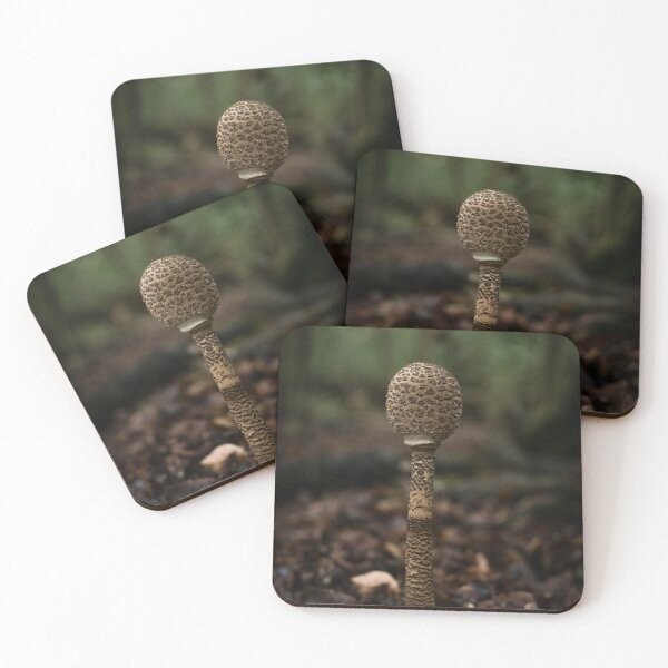 Item preview, Solitary Forest Mushroom designed and sold by JSFrame.