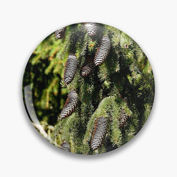 Item preview, Pinecones designed and sold by Birgit Moldenhauer.