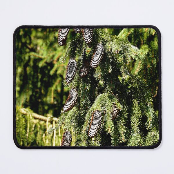 Item preview, Pinecones designed and sold by Birgit Moldenhauer.