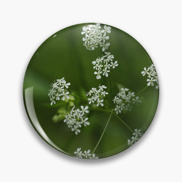 Item preview, Queen Anne’s Lace Wildflower Macro , Delicate White Botanical Flower Photography designed and sold by JSFrame.