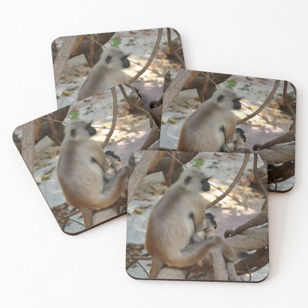 Item preview, Grey Langur - Take a Rest designed and sold by Birgit Moldenhauer.